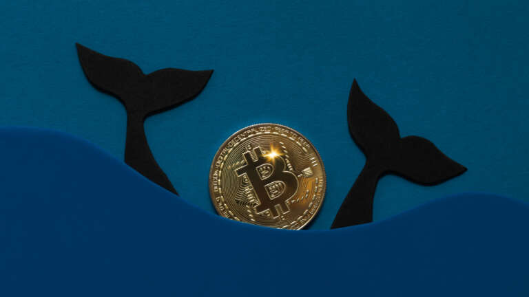 The Fifth Largest Whale Moves $6 Billion Bitcoin: Who Owns It?